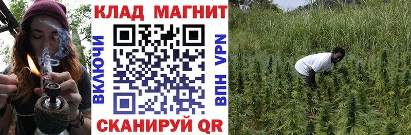 Где продают наркотики Санкт-Петербург Alpha-PVP Кодеин ГАШИШ Cocaine Мефедрон