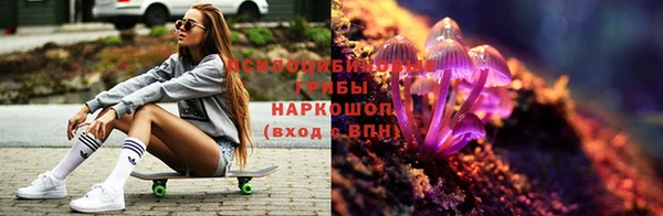 круглые Пролетарск