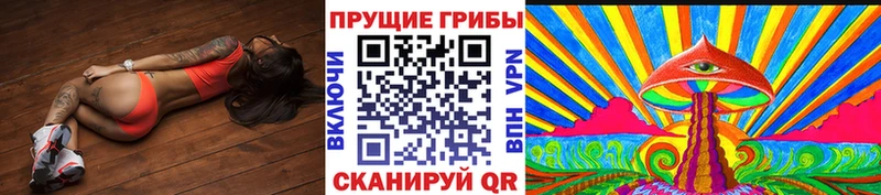 Галлюциногенные грибы ЛСД  ОМГ ОМГ вход  Санкт-Петербург  цена  