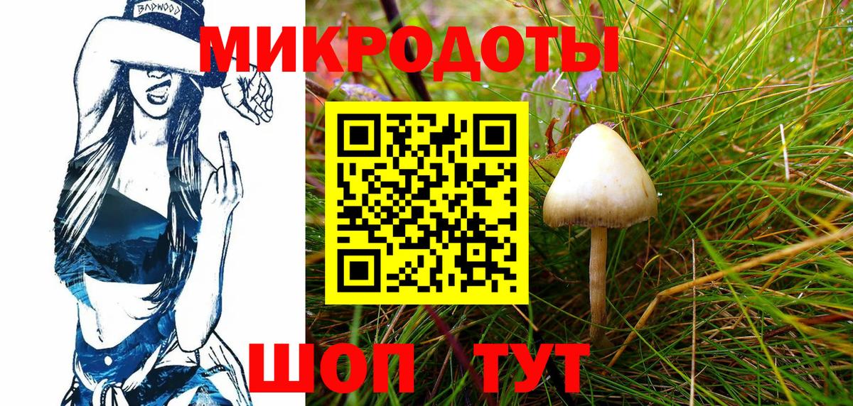 Санкт-Петербург  Псилоцибиновые грибы Psilocybine cubensis  Вход с VPN 