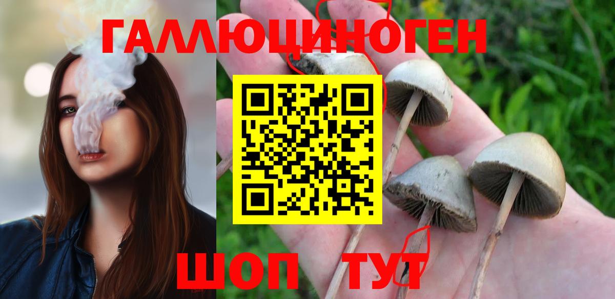 Псилоцибиновые грибы MAGIC MUSHROOMS Санкт-Петербург
