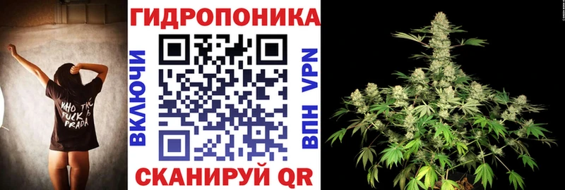 закладки  Санкт-Петербург  Шишки марихуана план 